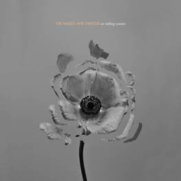 the-naked-and-famous-In-Rolling-Waves